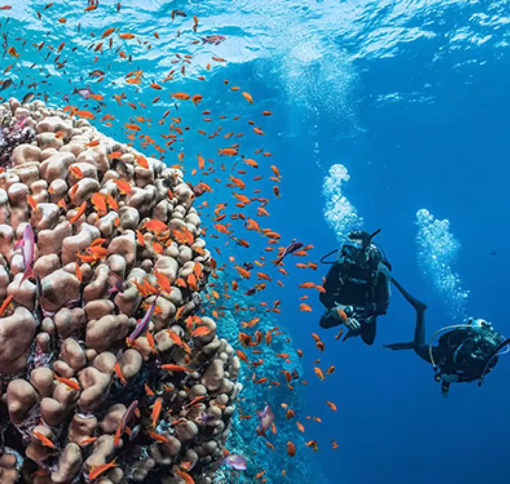 Discover the Great Barrier Reef